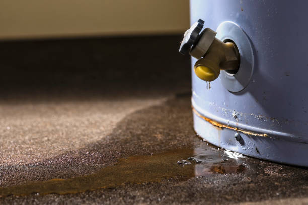 Water damage restoration insurance claims in IL