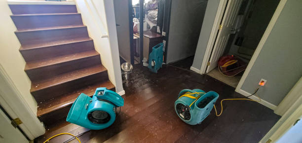 Best 24-hour water damage restoration  in Cambridge, IL