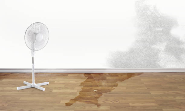 Best Water damage restoration near me  in Cambridge, IL