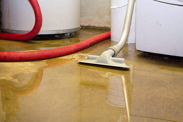 Best Carpet water damage restoration  in Cambridge, IL