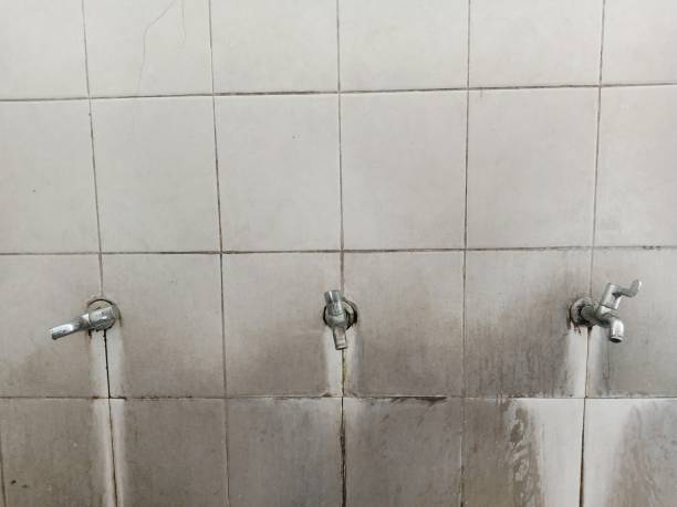 Best Flood restoration services  in Cambridge, IL