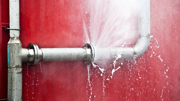 Best Flood damage cleanup  in Cambridge, IL