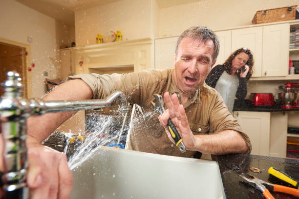 Best Basement water damage restoration  in Cambridge, IL